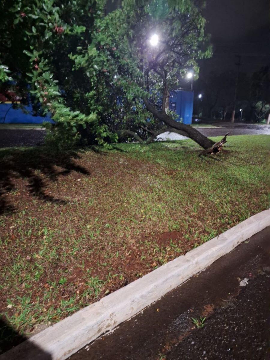 Chuva Intensa Causa Estragos Em Ourinhos Passando A R Gua