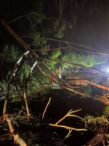 Carro bate em árvore caída e interdita SP-287 entre Piraju e Sarutaiá 