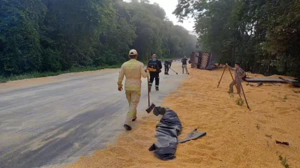 Caminhão carregado com milho tomba na BR-153 em Ibaiti; motorista sai ileso