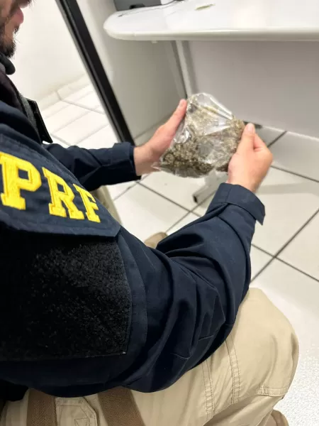 Motorista de aplicativo é preso transportando maconha escondida em bicho de pelúcia em Marília