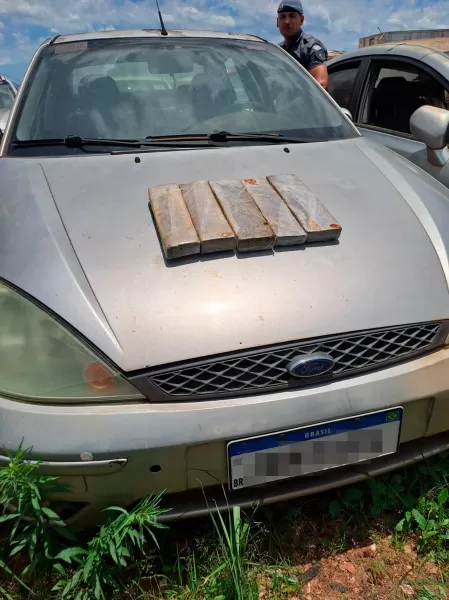 Cão farejador da PM encontra drogas em veículo no pátio de Santa Cruz do Rio Pardo