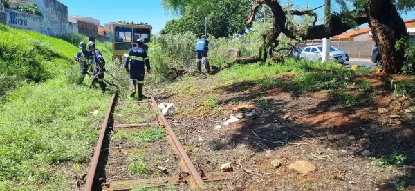 Em nota, Rumo não confirma retorno das operações em Ourinhos, mas não descarta a possibilidade