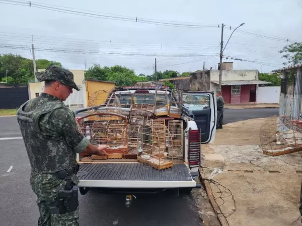 Homem é multado em R$ 27 mil por manter mais de 50 aves silvestres em cativeiro