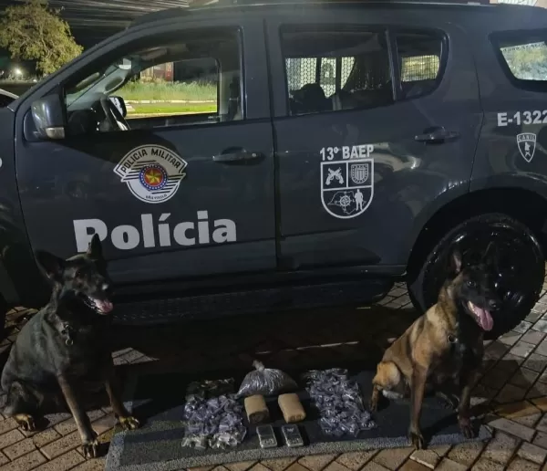 BAEP da Polícia Militar apreende mais de 1,3 kg de maconha em Ourinhos