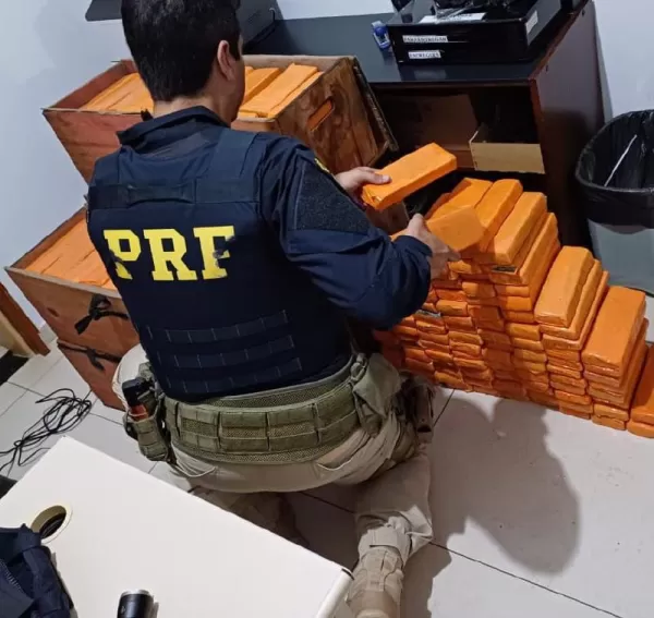 PRF apreende 245 kg de maconha em veículo furtado na BR-369, em Jacarezinho (PR); droga seria entregue em Ourinhos 