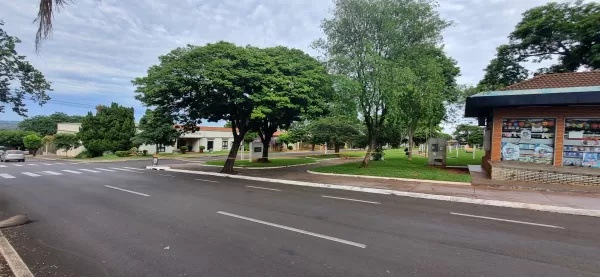 Corpo de Bombeiros isola parte de praça em Ourinhos devido a enxame de abelhas