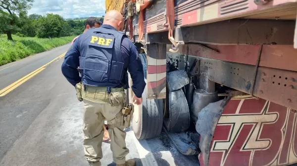 Caminhão com abacaxis sofre princípio de incêndio na BR-153 