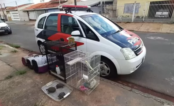 Mulher é presa em flagrante por maus-tratos a 17 animais em Avaré (SP)