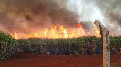 Companhia Canavieira registra prejuízo com incêndio desta quinta-feira, 15