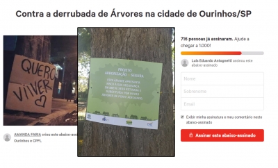 Abaixo-assinado pressiona Prefeitura contra derrubada de árvores em Ourinhos 