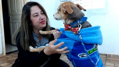 Depois de quase uma semana, mulher reencontra cão que perdeu após capotar carro em Santa Cruz