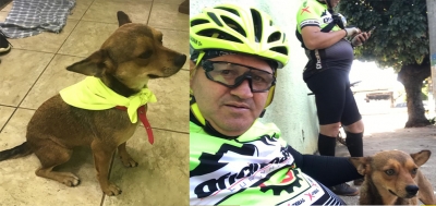 Cadela é adotada após seguir ciclistas de Ourinhos por quase 65 Km 