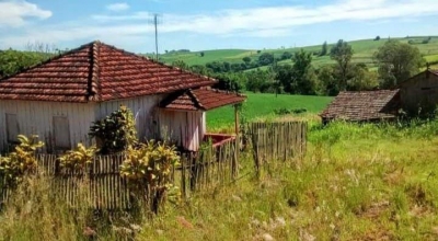 João Neto: A Solidão das Flores 