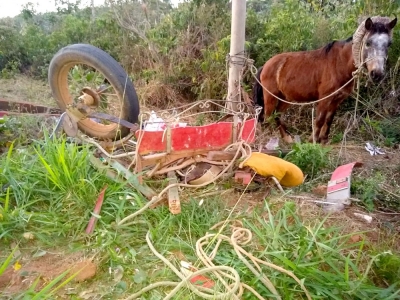 Homem em charrete morre após acidente com caminhonete em vicinal da região