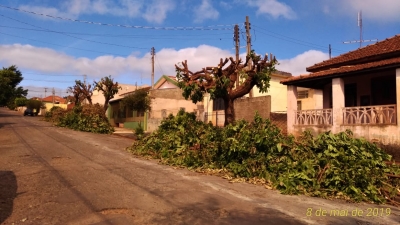 Prefeitura avisa que vai multar quem realizar poda drástica de árvores em Ourinhos