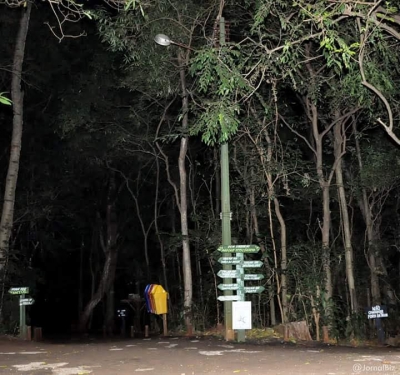 Passeio Noturno no Parque Ecológico acontece até este sábado  