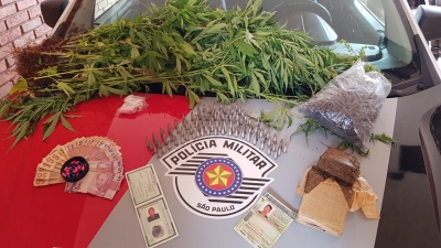  Polícia descobre plantação de maconha em Chavantes 