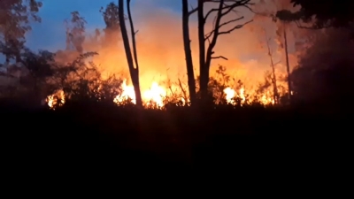 Incêndio atinge área de usina hidrelétrica em Salto Grande