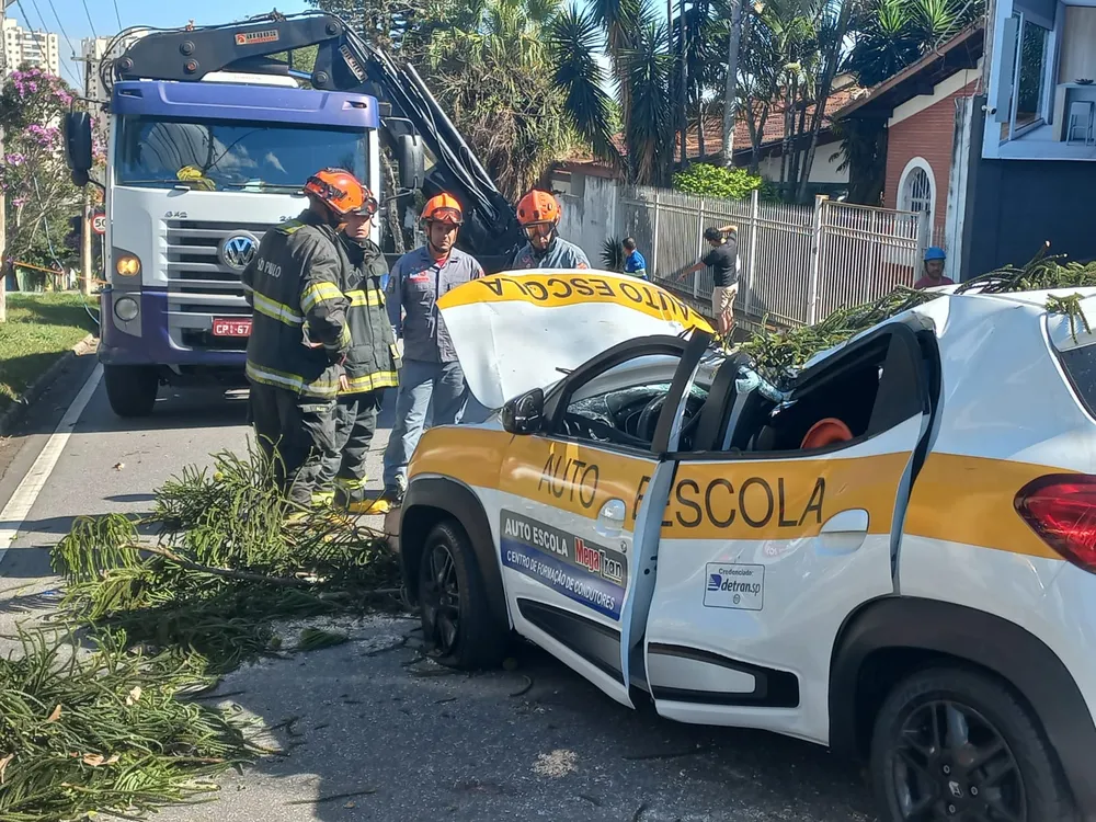 Morre Jovem Que Teve Carro De Autoescola Atingido Por árvore No Interior De São Paulo Passando 3290